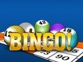 Spel Bingoo 2024  online