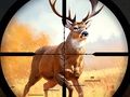 Spel Wilde jachtbotsing online Spel Wilde jachtbotsing online