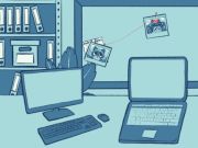Spel Het raadsel van de wasbeer  online