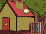 Spel Red het bronzen Turkije  online