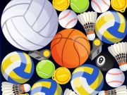Spel Sport samenvoegen  online
