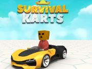 Spel Survival-karts  online