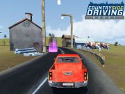 Spel Rijden op het platteland  online
