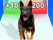 Spel Evolutieloop voor honden online Spel Evolutieloop voor honden online