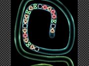 Spel TD Neon-shoot  online