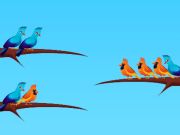 Spel Vogel soort online Spel Vogel soort online