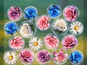 Spel Bloemen samenvoegen!  online