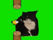 Spel Flappy Bird Spinning Oia Oia Cat online