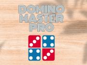 Spel Domino Master Pro online