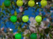 Spel Sappige appel  online