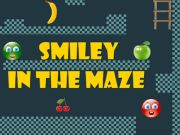 Spel Smiley in het doolhof  online