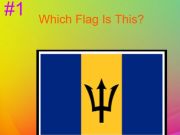 Spel 30s harde vlagquiz  online