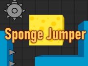 Spel Sponsjumper  online