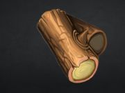 Spel Stonecraft  online