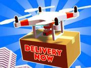 Spel Levering nu  online