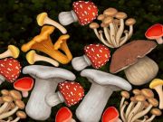 Spel Mushroom samenvoegen  online