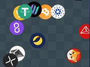 Spel Crypto Detective Finder  online