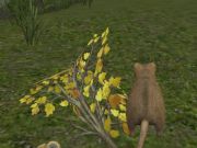 Spel Bosmuis  online