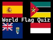 Spel World Flag Quiz  online