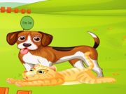Spel Bunny Key Quest  online