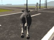 Spel Crazy Bull City  online