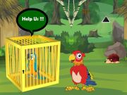 Spel Leg de opgesloten Macaw Buddy los online