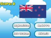 Spel 195 Country Flag Quiz online