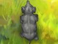 Spel Slimme olifant  online