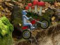Spel Extreme mountainbiken  online