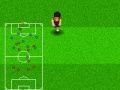 Spel Wereldbeker voetbal 2010 online