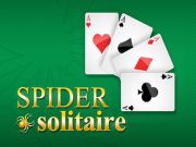 Spel Spider Solitaire online