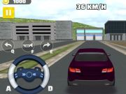 Spel De lange rit online