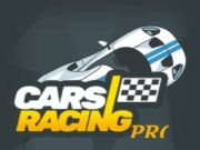 Spel Auto's Racing Pro online