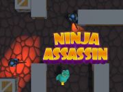 Spel Ninja Assassin online