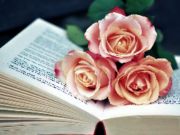 Spel Book of Blooms Jigsaw online