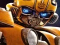 Spel Bumblebee Hidden Spots online