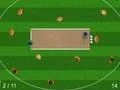 Spel Quicket online