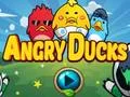 Spel Angry Ducks online