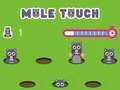 Spel Pole Touch online