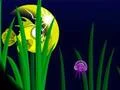 Spel Flash Fish Freddie online