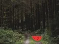 Spel Dense Forest Deer Escape online