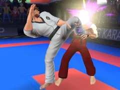 Spel Karate Fighter online