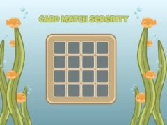 Spel Card Match Serenity online