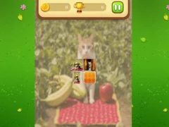 Spel Farm Cat Memory Match online