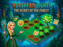 Spel Northern Lights - The Secret Of The Forest online