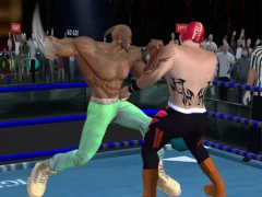 Spel Real Boxing Fighting Game online