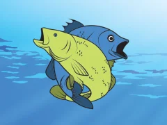 Spel Friendly Fish Coloring online