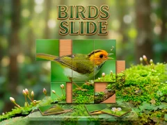 Spel Birds Slide online