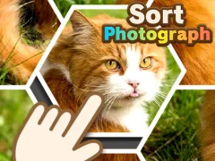 Spel Sort Photograph online