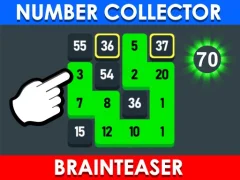 Spel Number Collector: Brainteaser online
